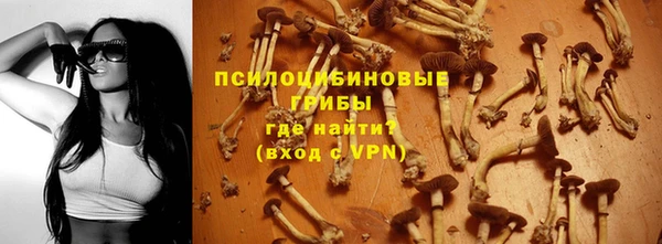 герыч Алексин