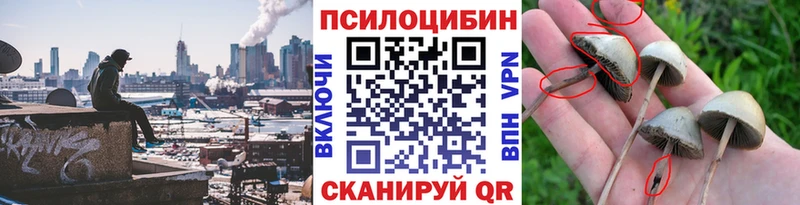 Псилоцибиновые грибы Magic Shrooms Краснозаводск