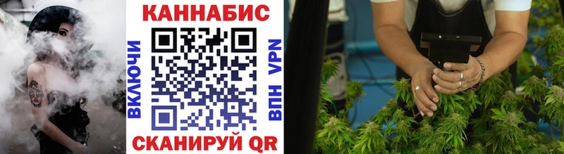 kraken как зайти  Краснозаводск  Канабис план 